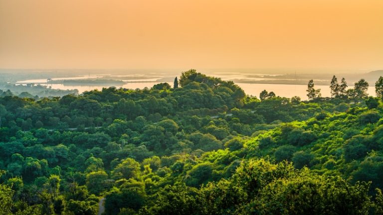 ESG & Corporate Governance: What Ghanaian Boards Need to Know Now